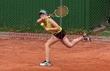 IMG_0538