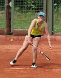 IMG_0781