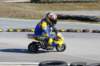 lockarp0804190781_small.jpg