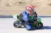 lockarp0804190801_small.jpg