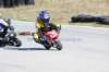 lockarp0804190804_small.jpg