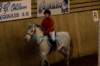 img_1304_small.jpg