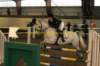 _mg_2946_small.jpg