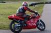 img_3530062_small.jpg