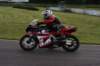 img_3635162_small.jpg