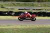 img_3743266_small.jpg