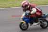 img_4422_small.jpg