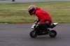img_3801_small.jpg