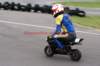 img_4009_small.jpg