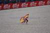 _mg_1259_small.jpg