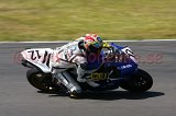 IMG_8608