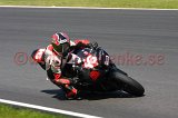 IMG_8953