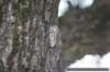 _mg_3610_small.jpg