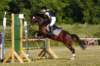 _mg_5894_small.jpg