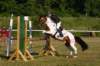 _mg_5905_small.jpg