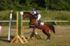 _mg_5956_small.jpg