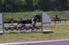 _mg_5539_small.jpg