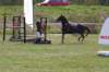 img_8976_small.jpg