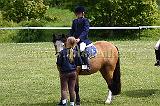 IMG_3226