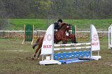 IMG_2048