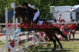 IMG_3178