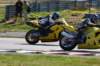 img_8112_small.jpg