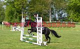 IMG_3885
