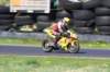 img_6327_small.jpg