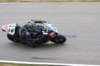 img_2391_small.jpg