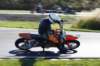 _mg_5857_small.jpg