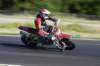 _mg_5984_small.jpg