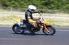 _mg_6299_small.jpg
