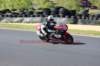 img_7488_small.jpg