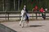 img_3764_small.jpg