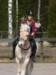 img_3851b_small.jpg