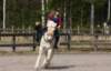 img_3857_small.jpg