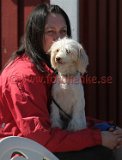 IMG_7988
