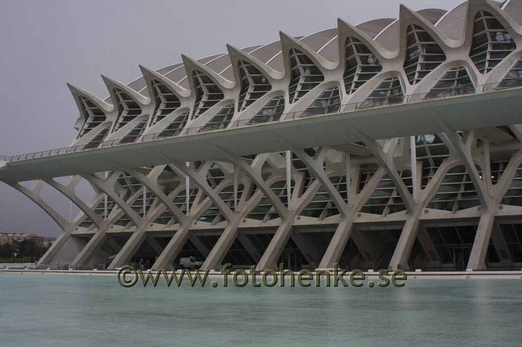 _MG_8688.JPG
